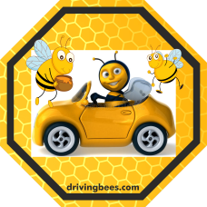 Driving Bees